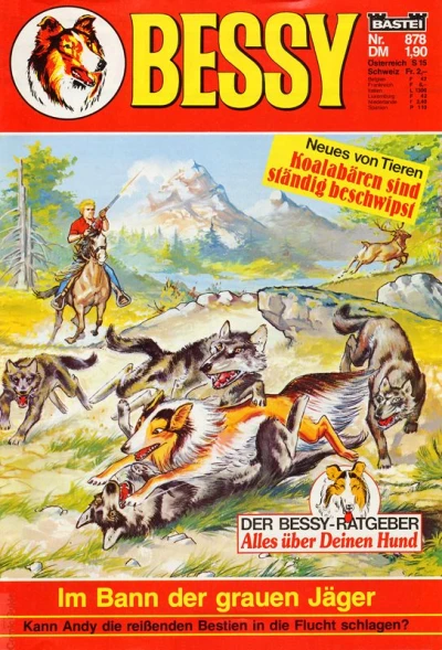 Cover of Im Bann der grauen Jäger