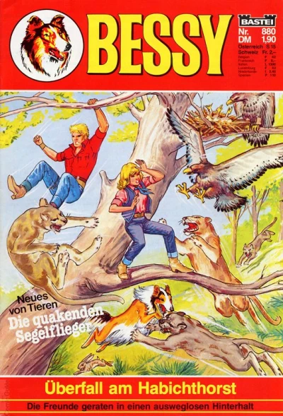Cover of Überfall am Habichthorst