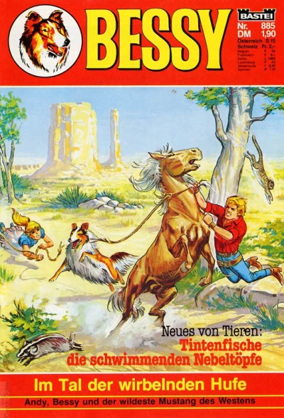 Cover of Im Tal der wirbelnden Hufe