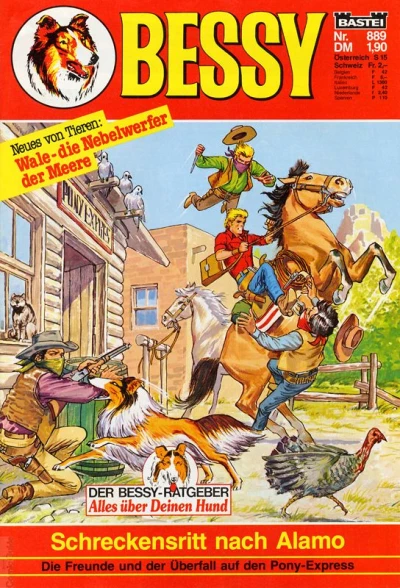 Cover of Schreckensritt nach Alamo