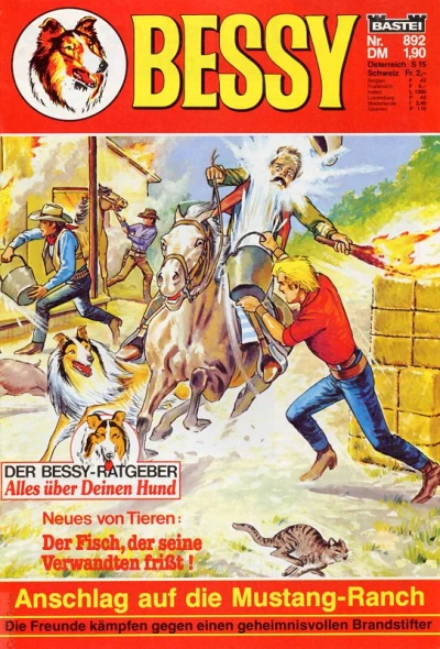 Cover of Anschlag auf die Mustang-Ranch