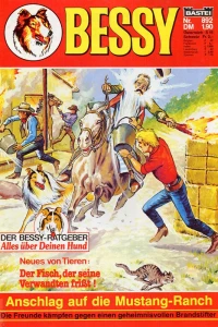 Anschlag auf die Mustang-Ranch