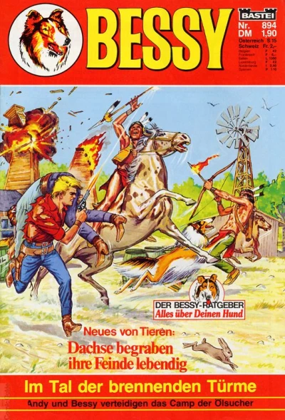 Cover of Im Tal der brennenden Türme