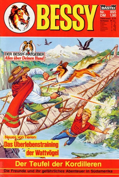 Cover of Der Teufel der Kordilleren