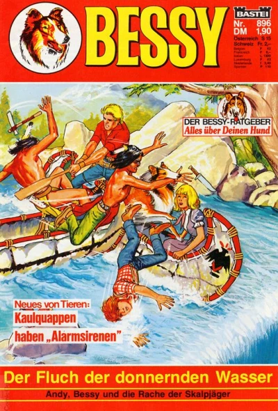 Cover of Der Fluch der donnernden Wasser