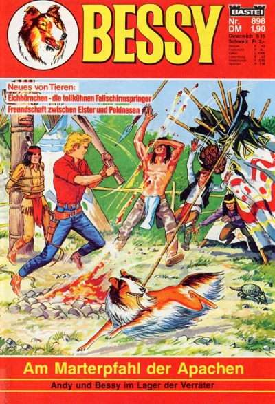 Cover of Am Marterpfahl der Apachen