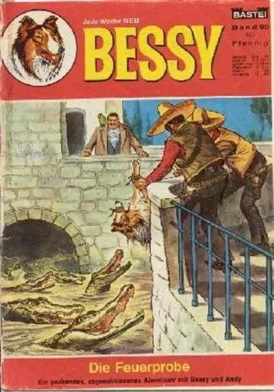 Cover of Die Feuerprobe