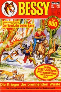 Die Krieger der brennenden Wüste