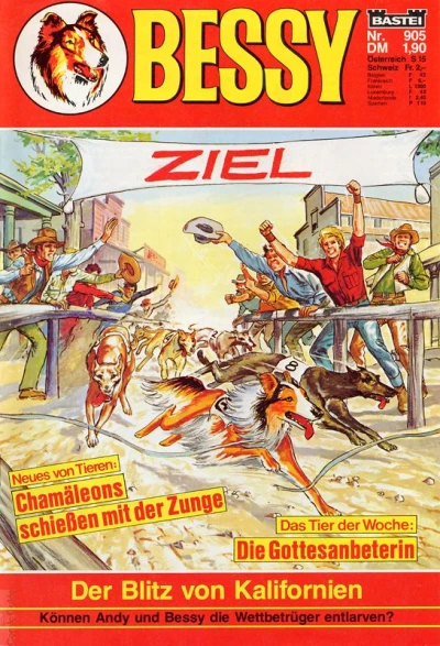 Cover of Der Blitz von Kalifornien