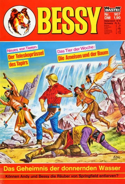 Cover of Das Geheimnis der donnernden Wasser