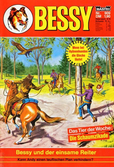 Cover of Bessy und der einsame Reiter