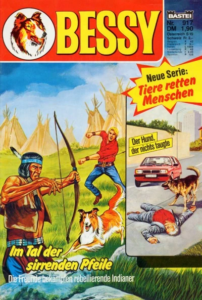 Cover of Im Tal der sirrenden Pfeile