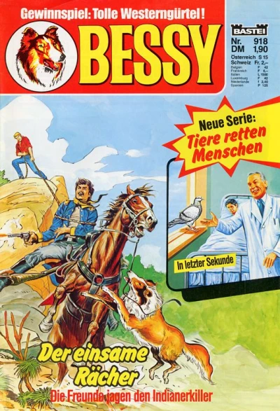 Cover of Der einsame Rächer