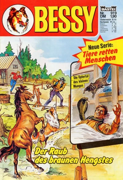 Cover of Der Raub des braunen Hengstes