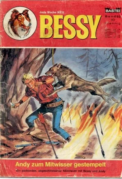Cover of Andy zum Mitwisser Gestempelt