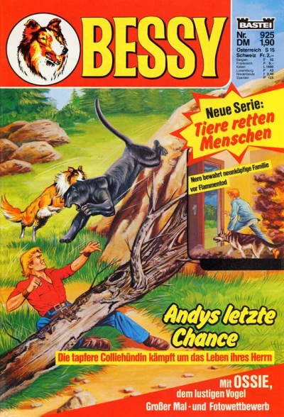 Cover of Andys letzte Chance
