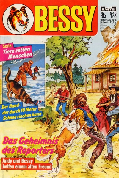 Cover of Das Geheimnis des Reporters