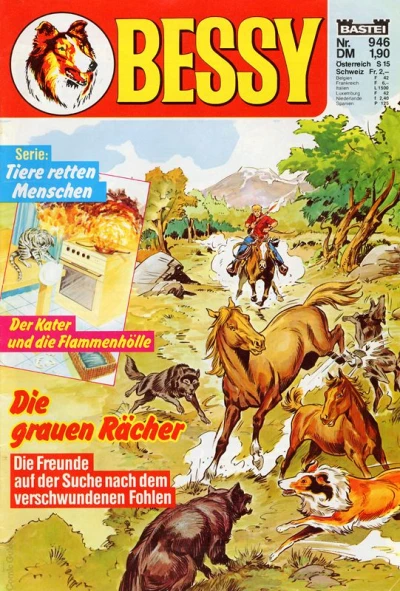 Cover of Die grauen Racher