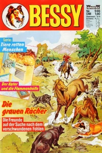 Die grauen Racher