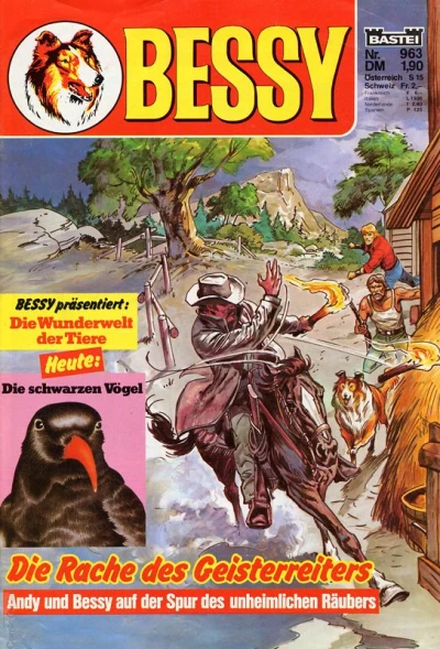 Cover of Die Rache des Geisterreiters