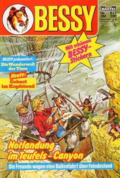 Cover of Notlandung im Teufels-Canyon