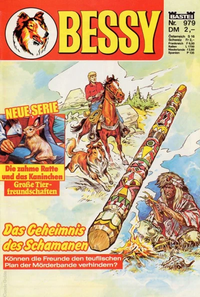 Cover of Das Geheimnis des Schamanen