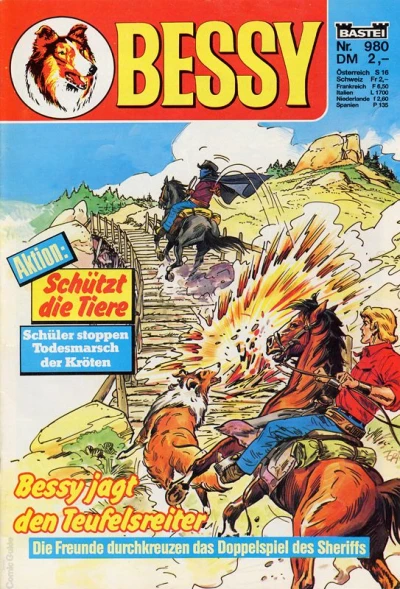 Cover of Bessy jagt den Teufelsreiter