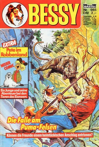 Cover of Die Falle am Puma-Felsen