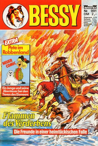 Cover of Flammen des Verderbens