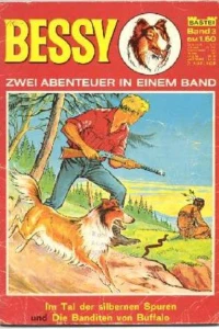 ImTal der silbernen Spuren ; Die Banditen von Buffalo