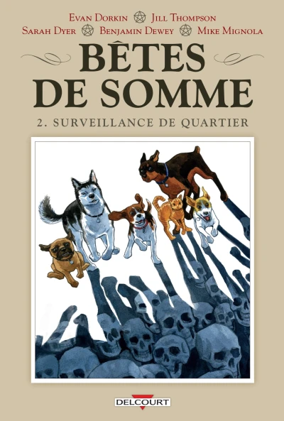 Cover of Surveillance de quartier