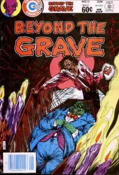 Cover of Issue #15