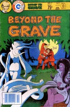 Cover of Issue #17