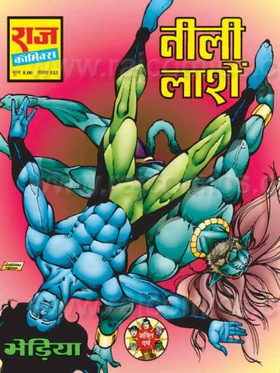 Cover of Neeli Laashein