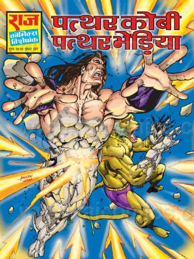 Cover of Patthar Kobi Patthar Bheriya