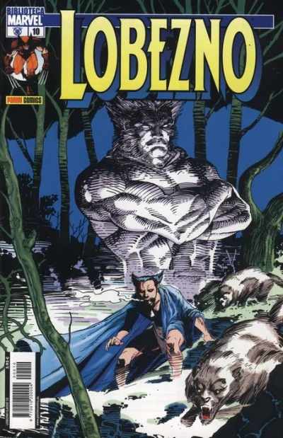 Cover of Issue #10