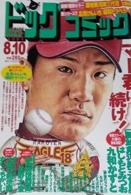 Cover of No. 15, 2007