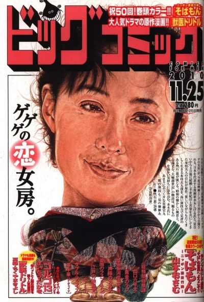 Cover of No. 22, 2010