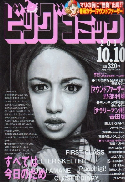 Cover of No. 19, 2014