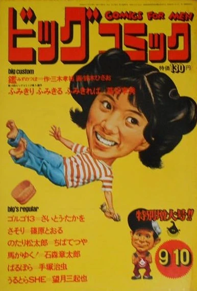 Cover of No. 17, 1973