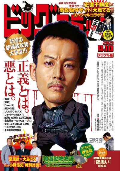 Cover of No. 17, 2021