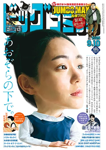 Cover of No. 17, 2025