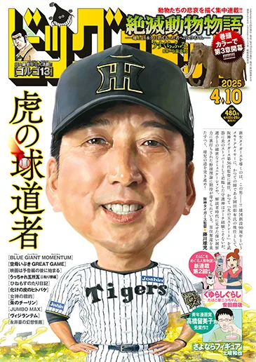 Cover of No. 7, 2025