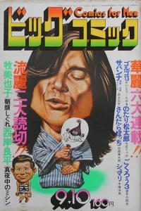 No. 17, 1975