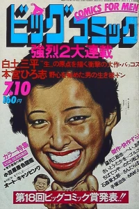No. 13, 1977