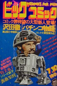 No. 13, 1978