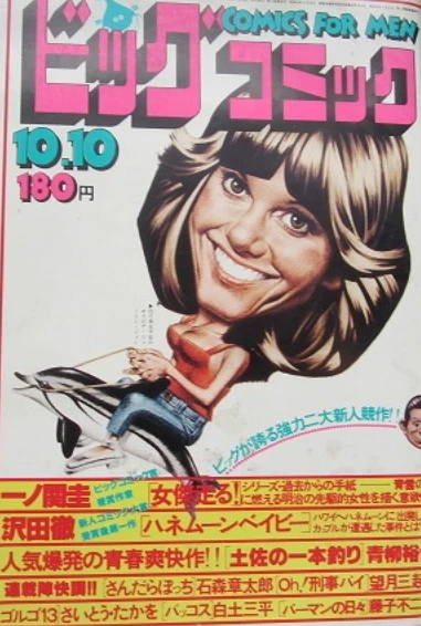 Cover of No. 19, 1978