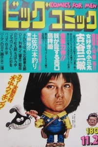 No. 22, 1978