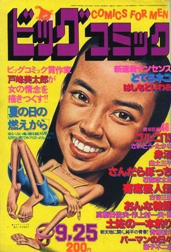Cover of No. 18, 1980