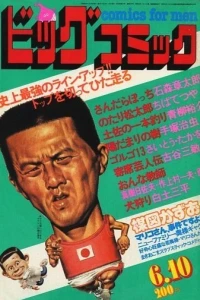 No. 11, 1981